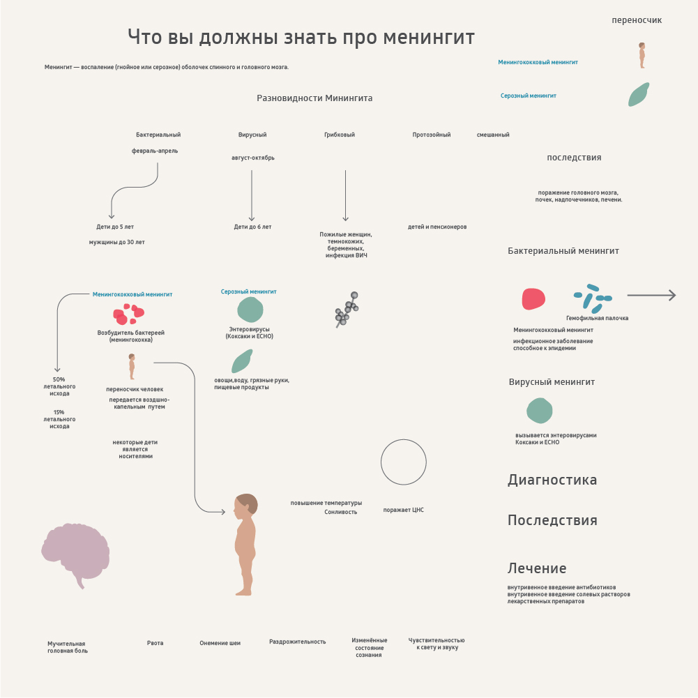 Процесс создания инфографики о менингите