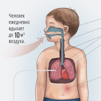 Инфографика: Воздействие дорожной пыли на человека