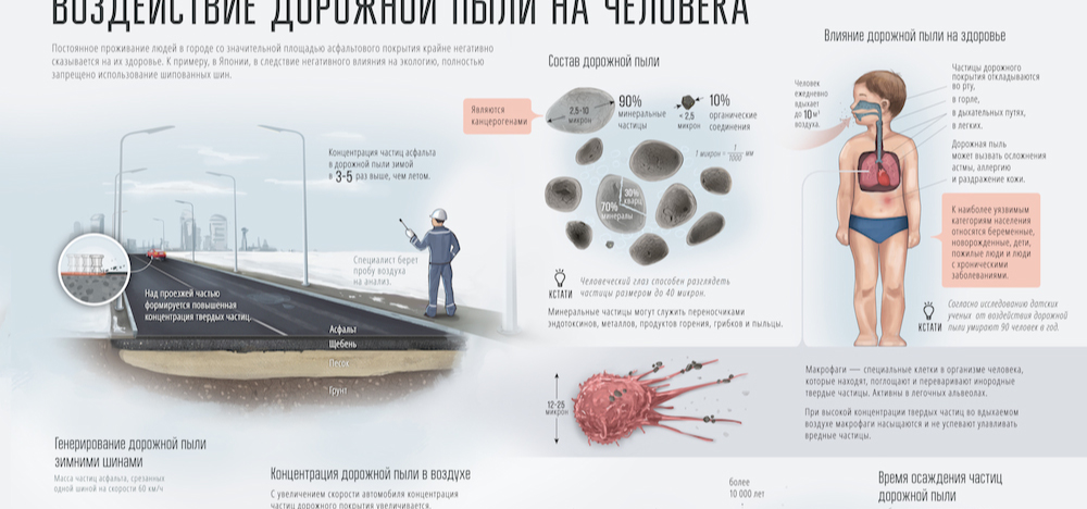 Инфографика: Воздействие дорожной пыли на человека